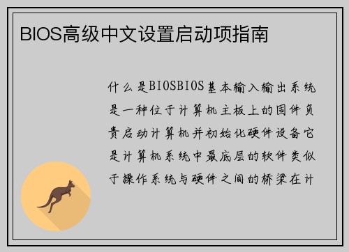 BIOS高级中文设置启动项指南